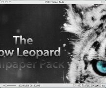 Snow Leopard - IOS苹果雪豹风格